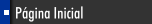 P&aacute;gina Inicial